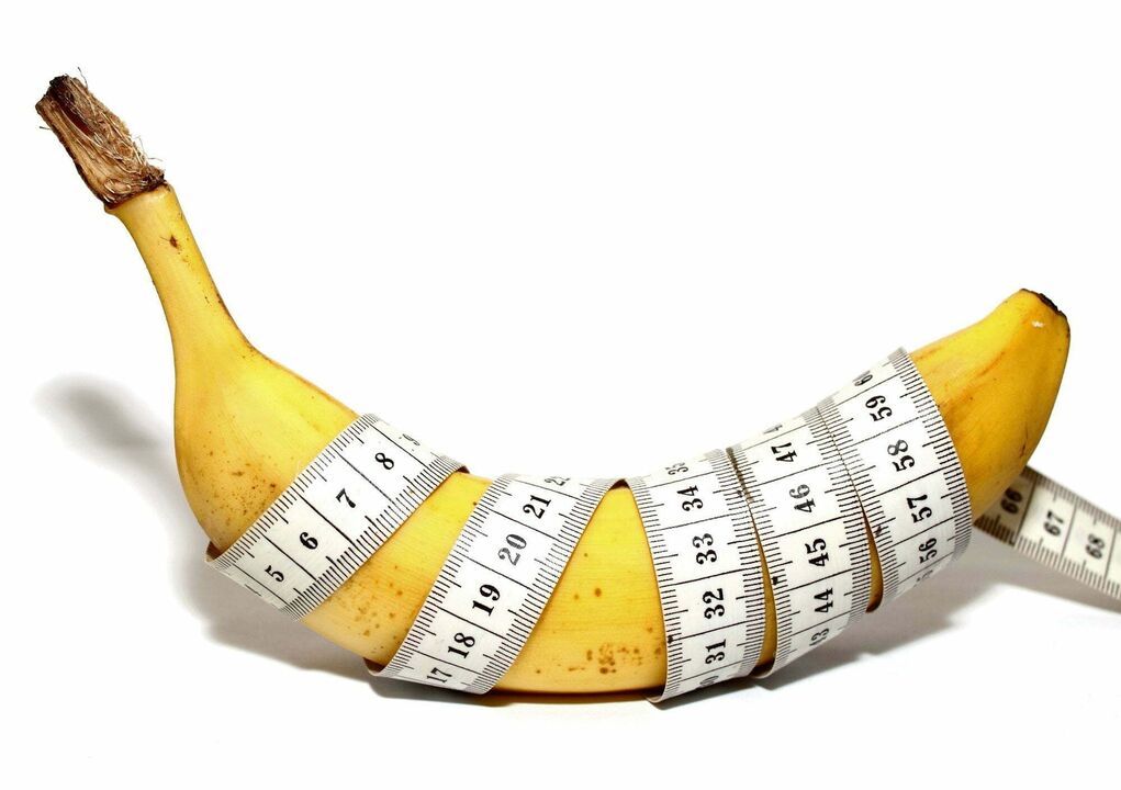 Normal penis length