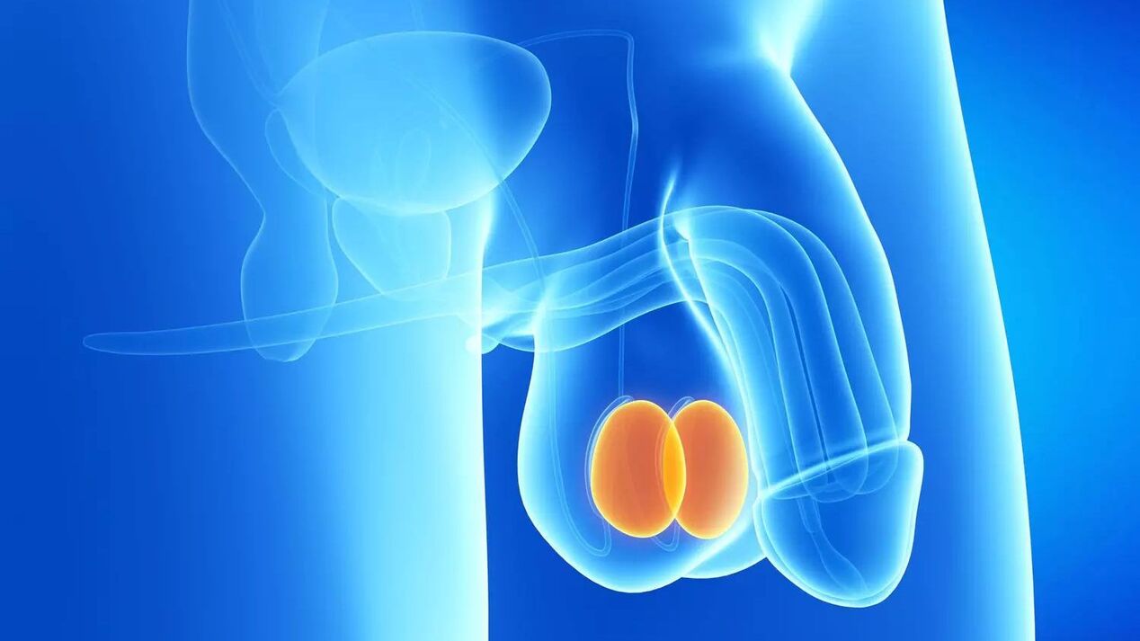 Cost of penis enlargement surgery